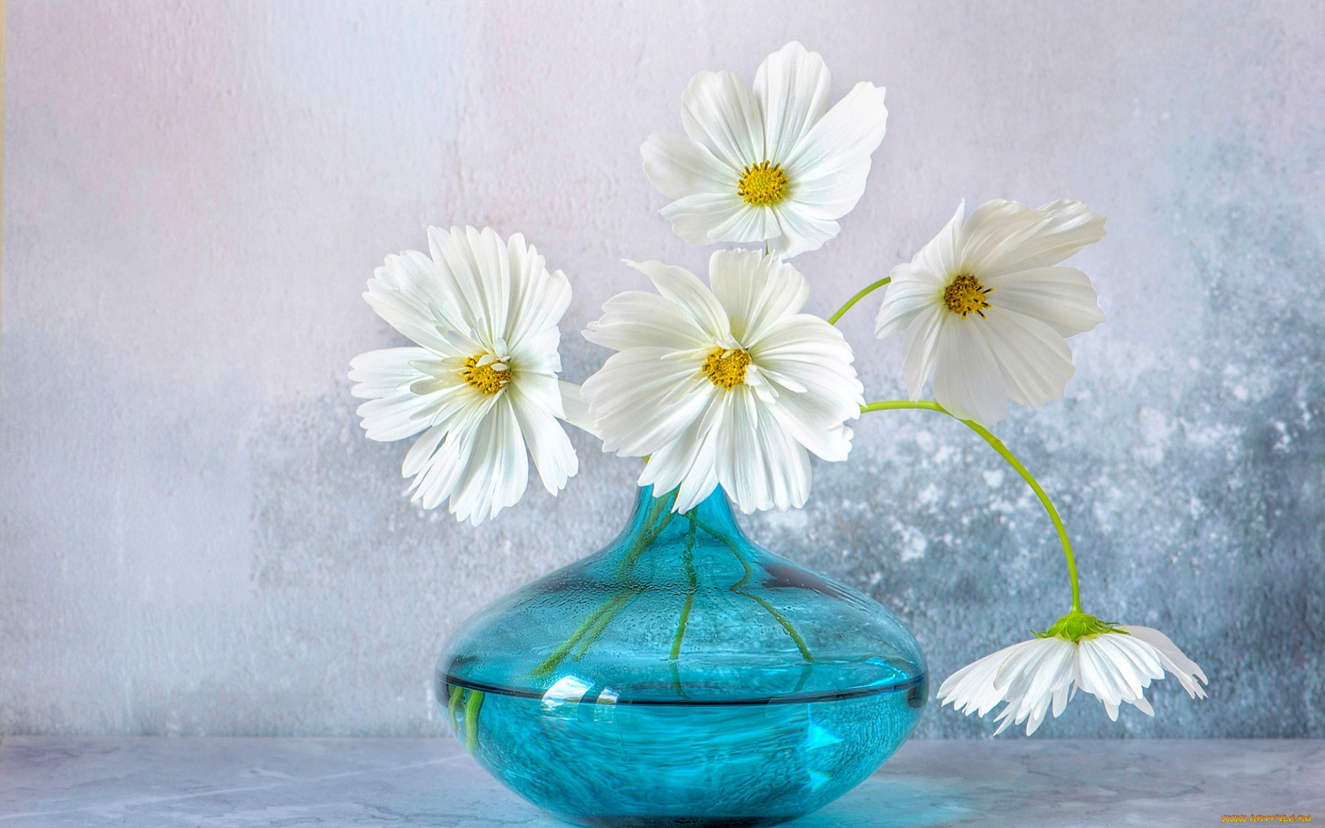 Красивые цветы в прозрачной вазе